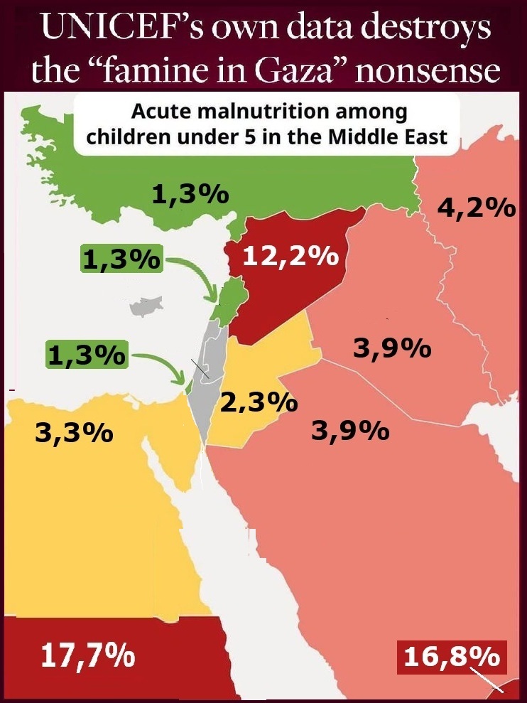 2026 08 MO Gaza malnutrizione mappa Vert